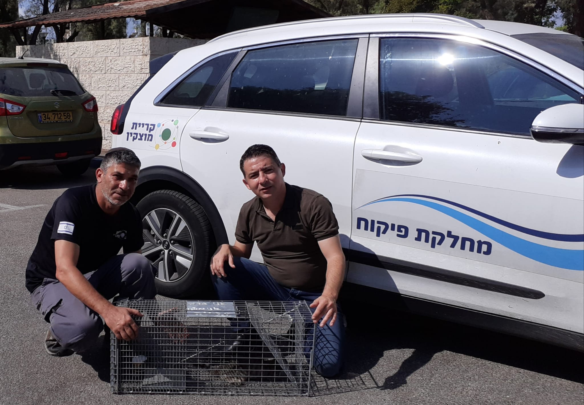 חולץ גור חתולים שהיה כלוא ותקוע במרזב גבוה