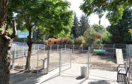 עיריית קרית אתא  מקימה גינות ציבוריות לכלבים