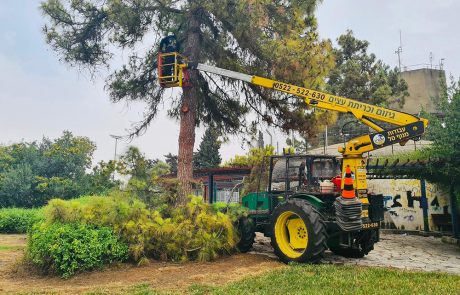עבודות ניקיון ושיקום גינות ברחוב בן עמי