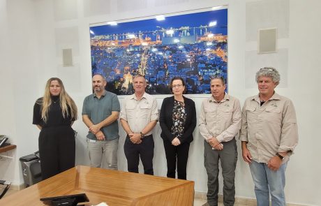 העירייה נוקטת בצעדים לטיפול בחזירי הבר