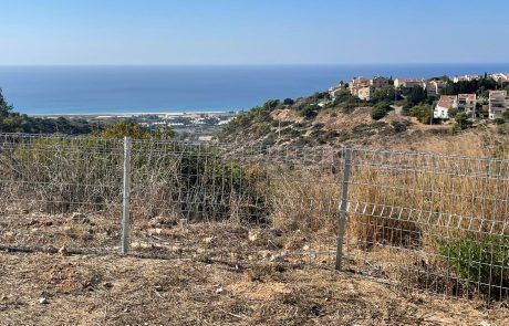 התכנית למניעת חדירת חזירי הבר יצאה לדרך