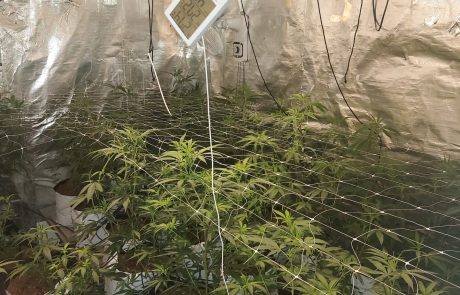 מעבדת הידרו גדולה נחשפה הלילה בחיפה