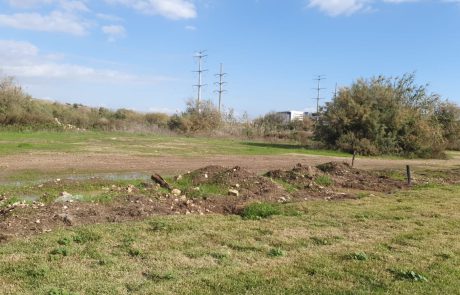 עיריית חיפה פינתה כ-1,300 טון פסולת בניין מנחל סעדיה