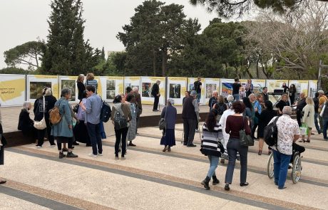 אמנות נשית בין הר לים בגן האם חיפה