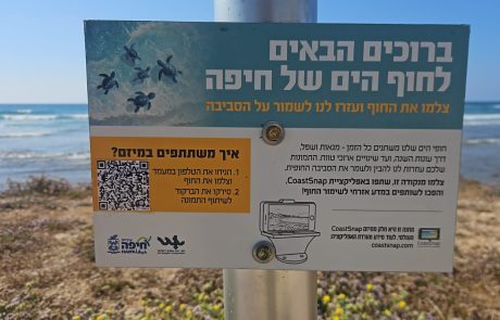 חיפה מצטרפת לפרויקט עולמי לניטור החופים