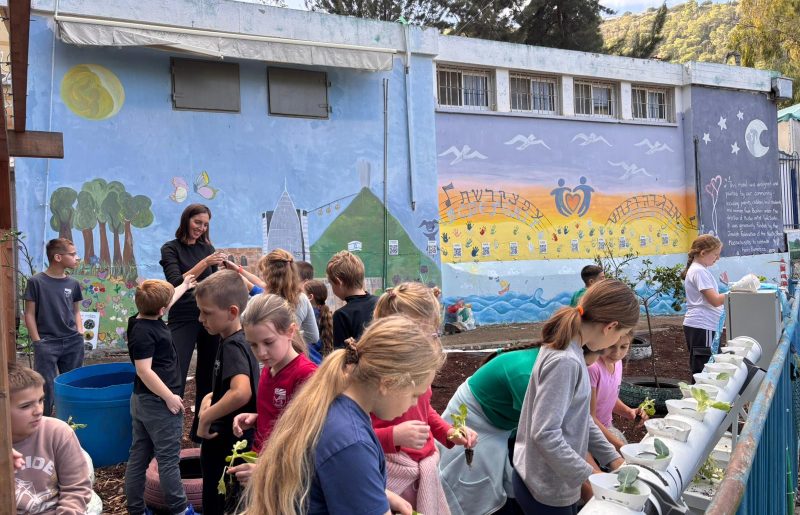 מהכיתה אל היער: בית הספר "דרור" בחיפה מוביל מהפכה חינוכית והופך ל"בית ספר יער עירוני"